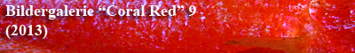 Bildergalerie Coral Red