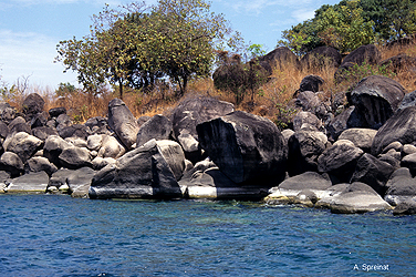 Impressionen vom Malawisee