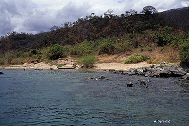 Impressionen vom Malawisee