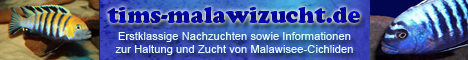 www.tims-malawizucht.de